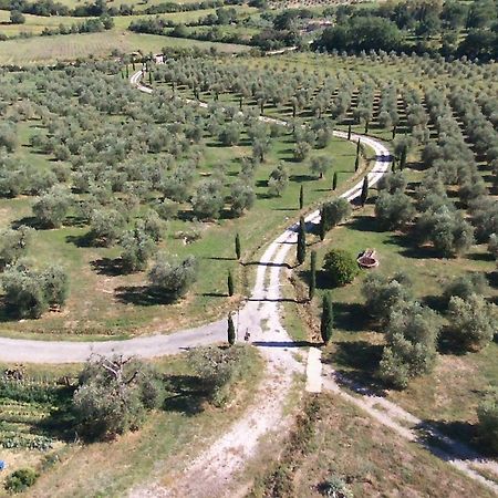 Casetta Dell'Uliveto Маккиагодена Экстерьер фото