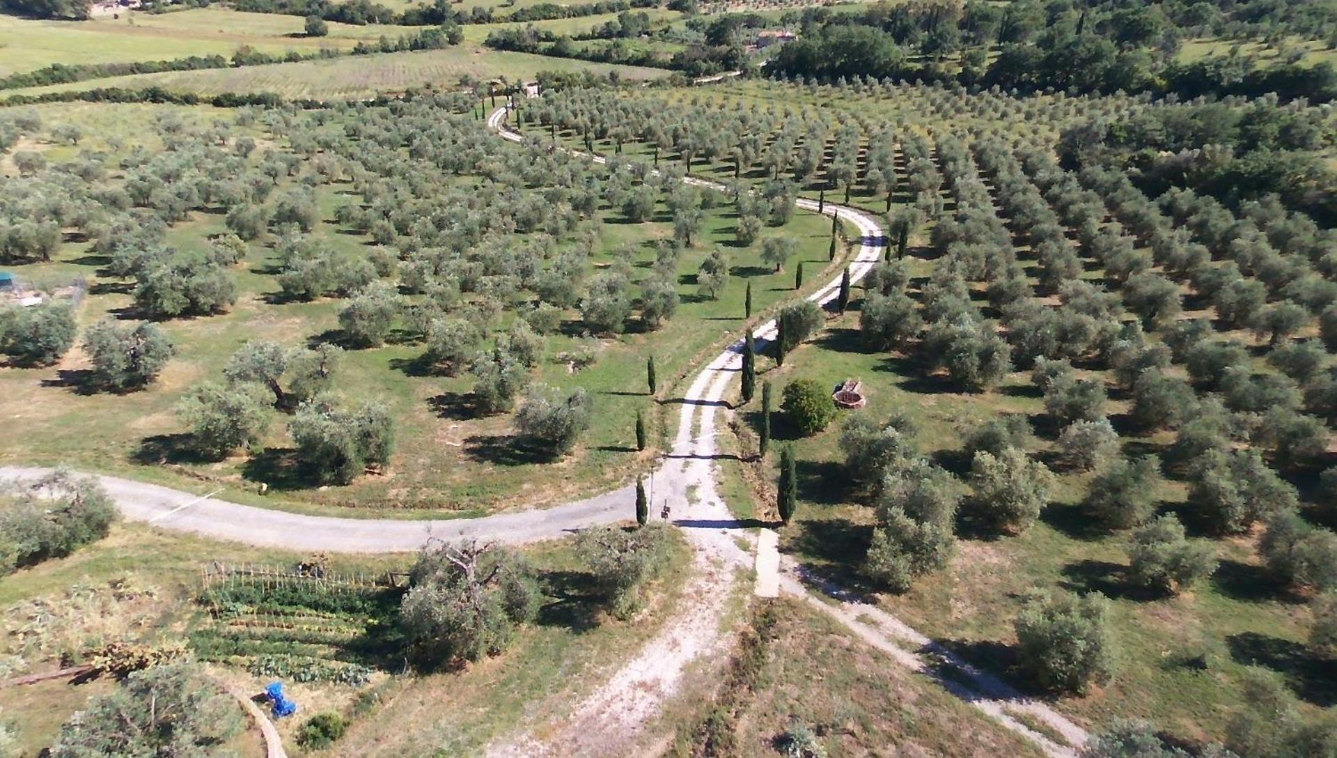 Casetta Dell'Uliveto Маккиагодена Экстерьер фото